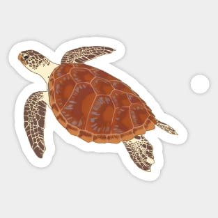 Sea Turtle - Critter Sticker